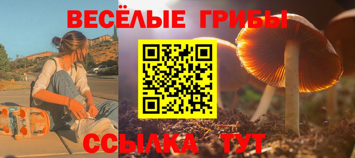 Псилоцибиновые грибы Cubensis Артёмовский